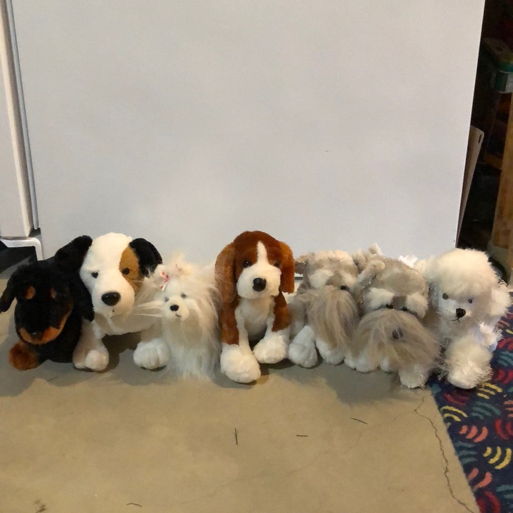 Webkinz- dogs! No tags $35 for all.Open to offers.